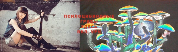PSILOCYBIN Волоколамск
